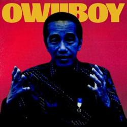 owiiboy.jpg